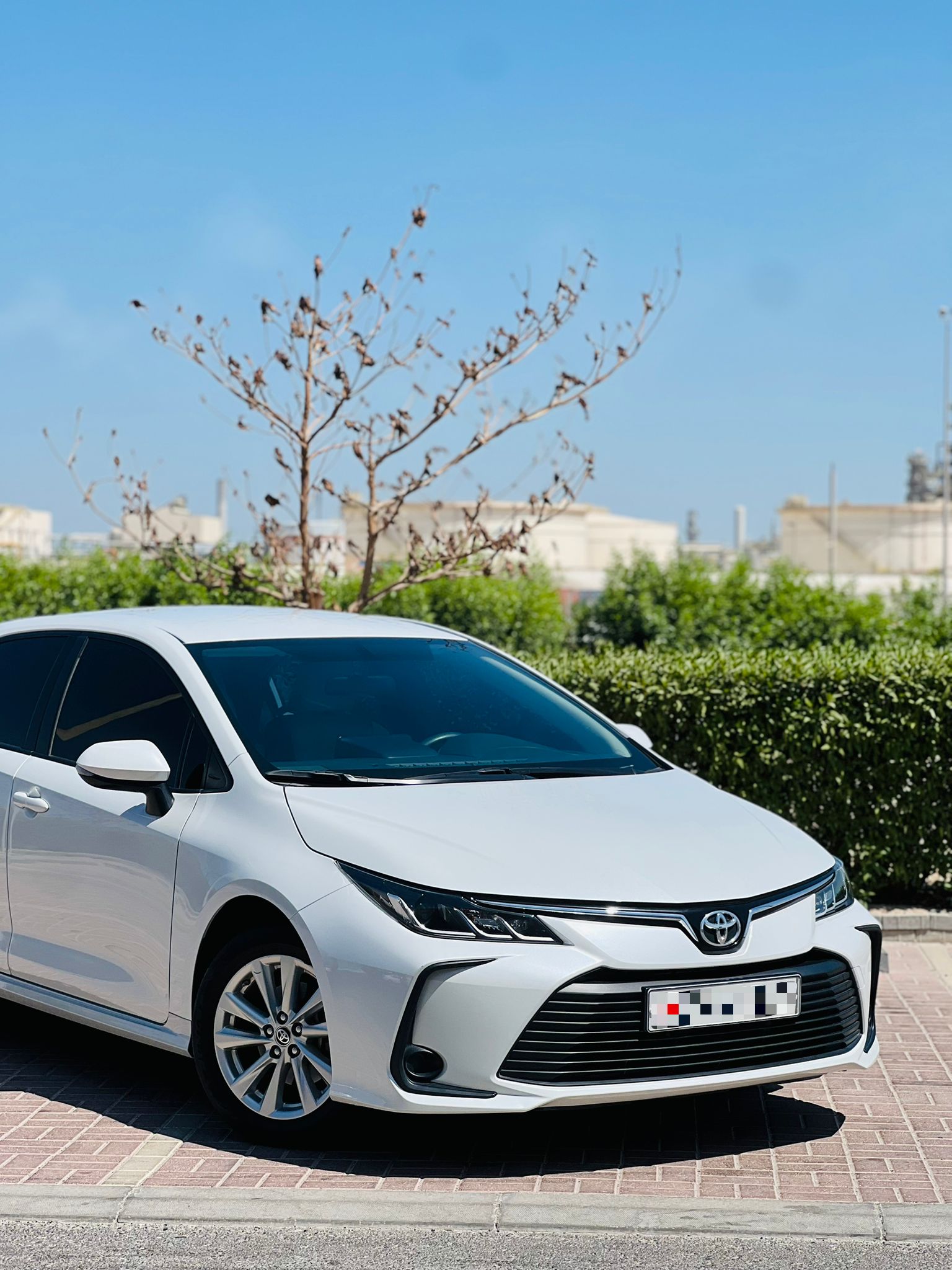 TOYOTA COROLLA 2.0 XLI 2024 - Image 5