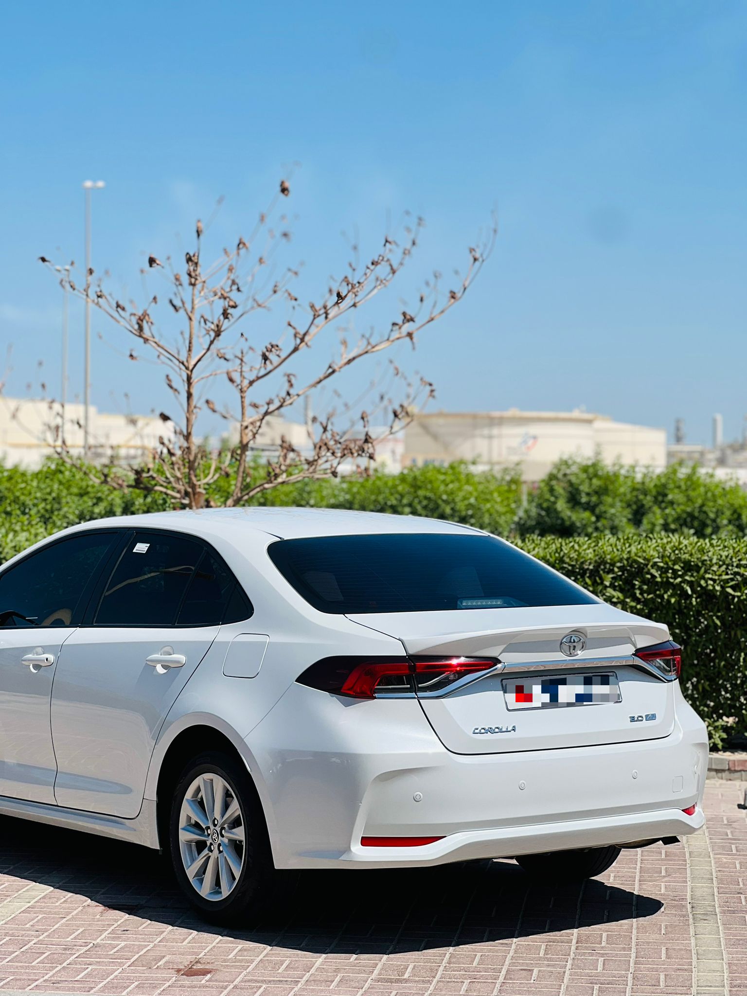 TOYOTA COROLLA 2.0 XLI 2024 - Image 6